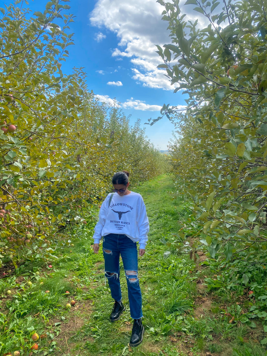 Dutton ranch